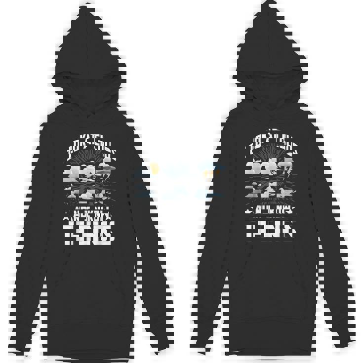 I Look At Clouds And I Know Things Weather Lover Unisex Hoodie