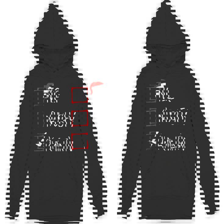 Nice Naughty Armenian Christmas Armenia Roots Heritage Unisex Hoodie