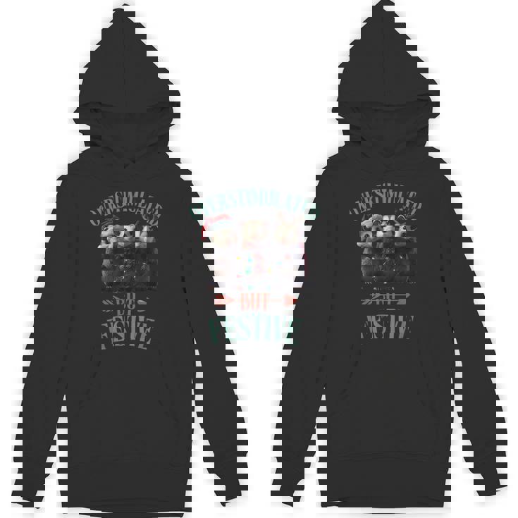 Overstimulated But Festive Possum Ugly Christmas Hoodie