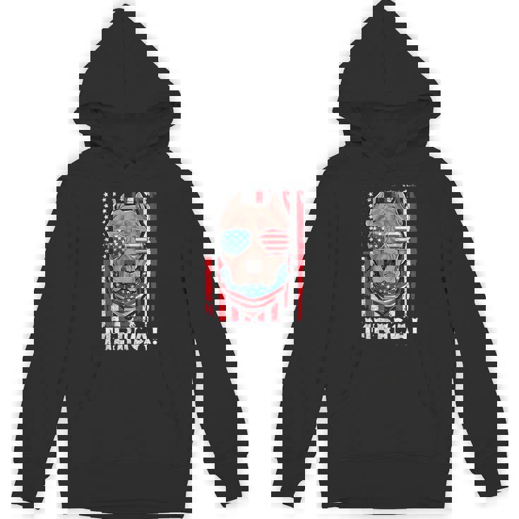 Pit-Bull Usa 愛国的な犬服 アメリカ国旗 メンズ パーカー