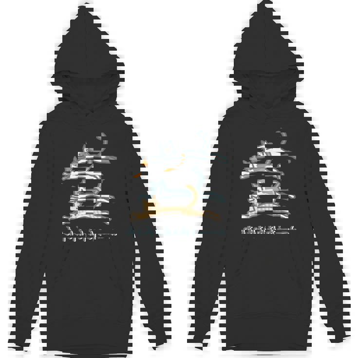 みょみょみょみょーん 猫 ネコ 茶トラ ハチワレ 三毛 シャム シュール おもしろ 可愛い メンズ レディース キッズ パーカー