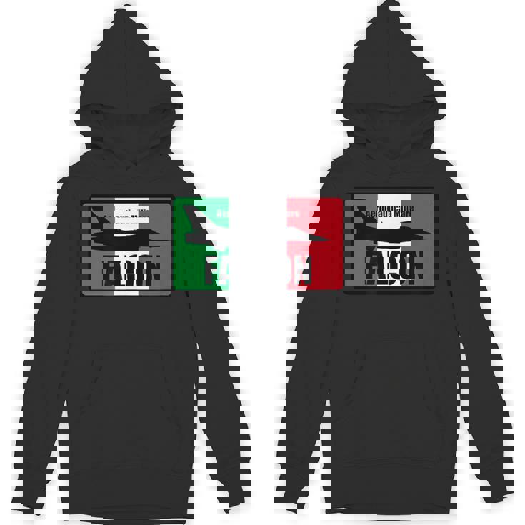 イタリアン F-16 ファルコンパッチ パーカー