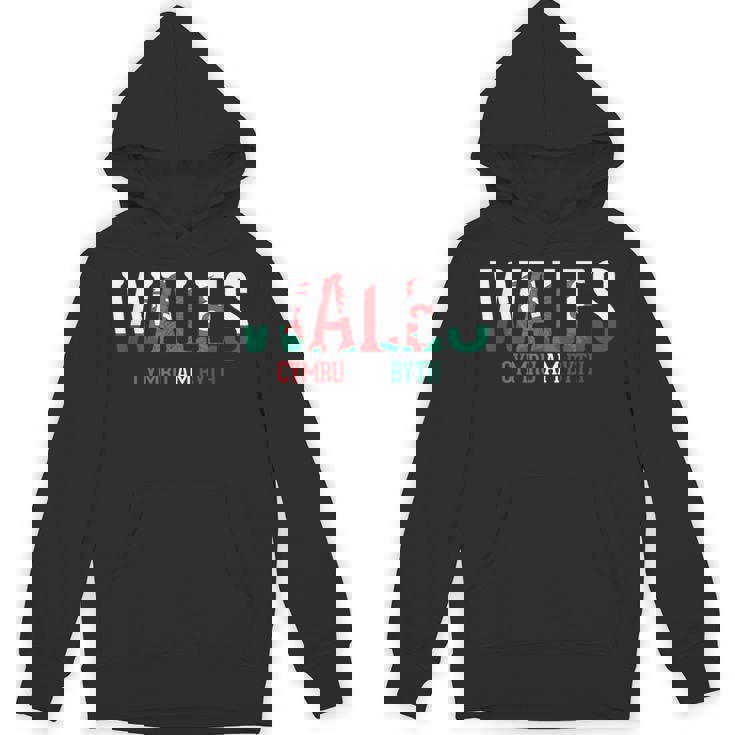 ウェールズ ラグビー フラッグ ウェールズ パーカー