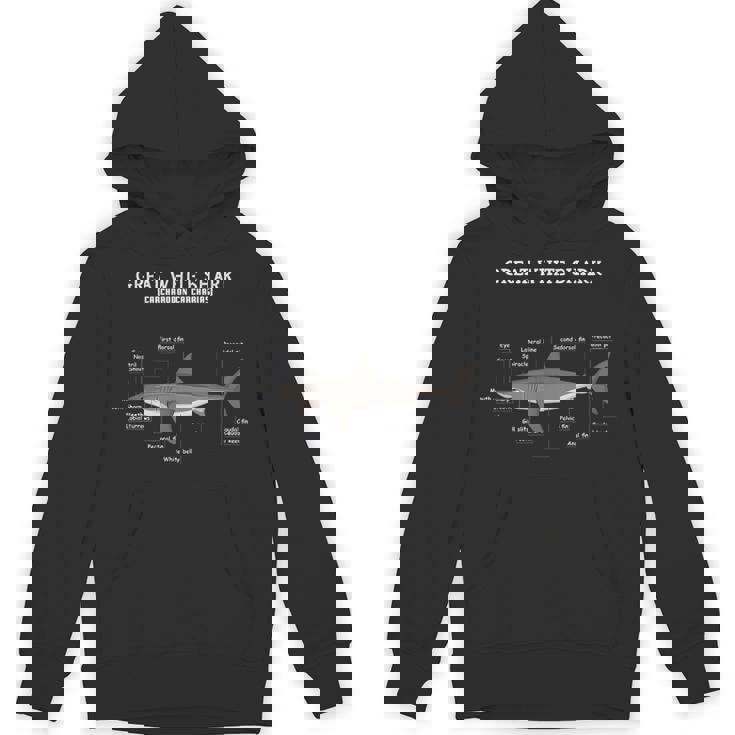 サメの解剖学解剖学者 パーカー