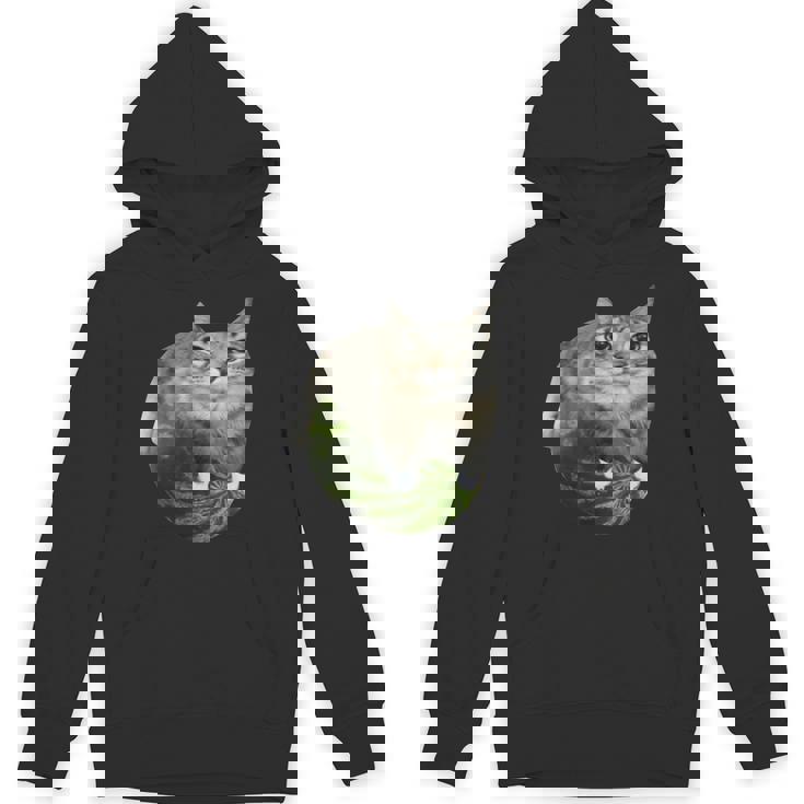 スイカ猫ミーム パーカー