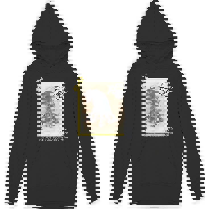 ダックス ミニチュアダックス シルバーダップル らく 充電中 明日がんばる 犬 パーカー