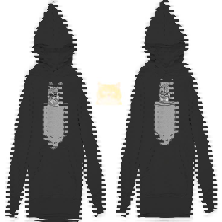 ファニーエキゾチックショートヘア猫 パーカー