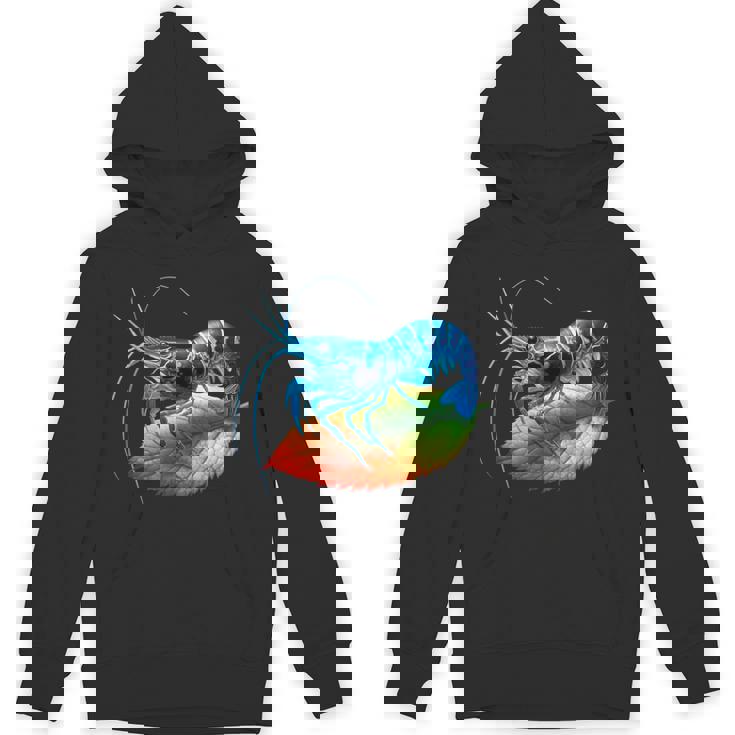 ブルーチェリー シュリンプ ブリーダー ネオカラディナ 淡水水槽 パーカー