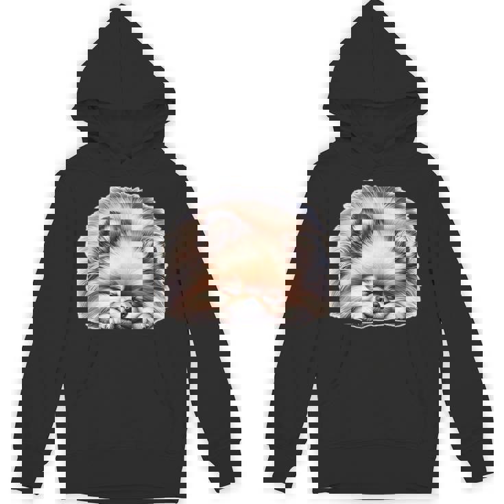 ポメラニアン × ポメラニアン 犬 寝ている パーカー