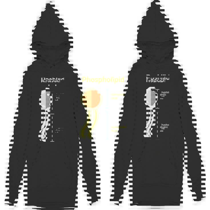 リン脂質 パーカー