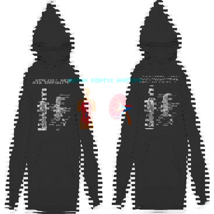 医療従事者のためのヒト腎臓の解剖学 パーカー