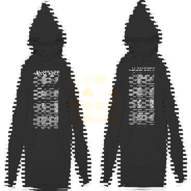 古生代化石チャート古生物学科学愛好家 パーカー