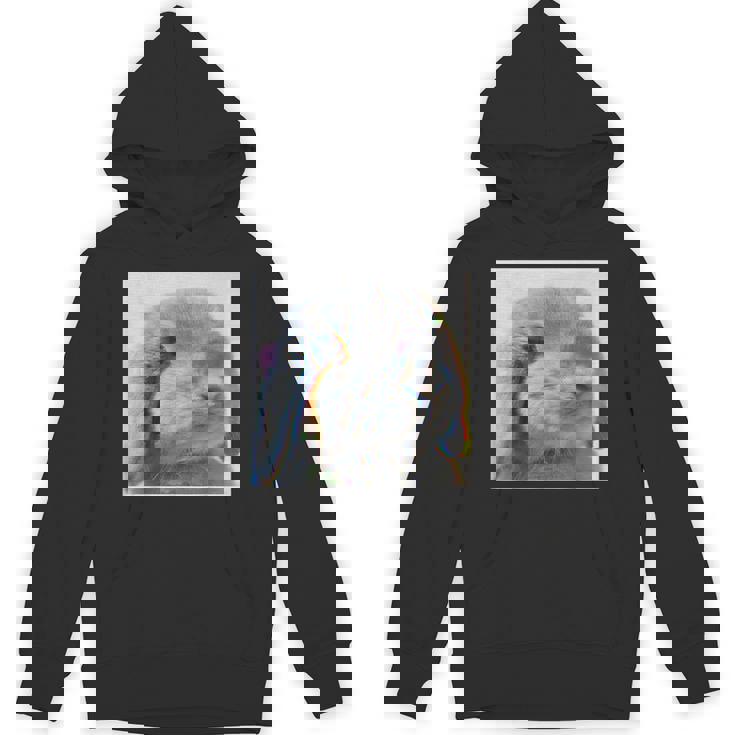 垂れ耳うさぎのレトロ写真 パーカー