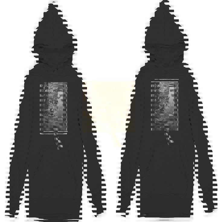 面白いsf自撮り猫とエイリアンビジターの不気味な瞬間。 パーカー