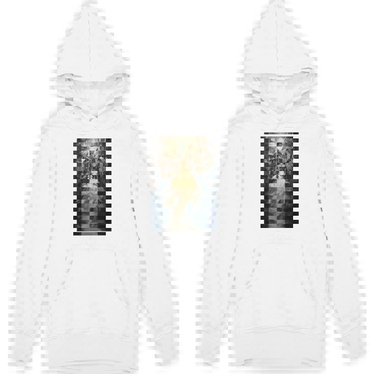 【公式】Final Fantasy アニバーサリーコレクション Ffxii Tza パッケージアート① パーカー