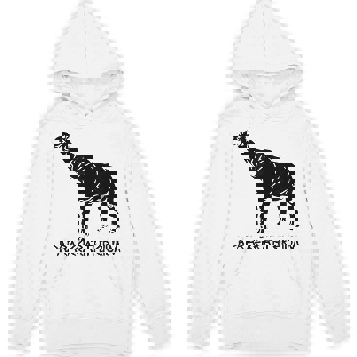 パラケラテリウム 絶滅動物 サイ 古生物学 パーカー