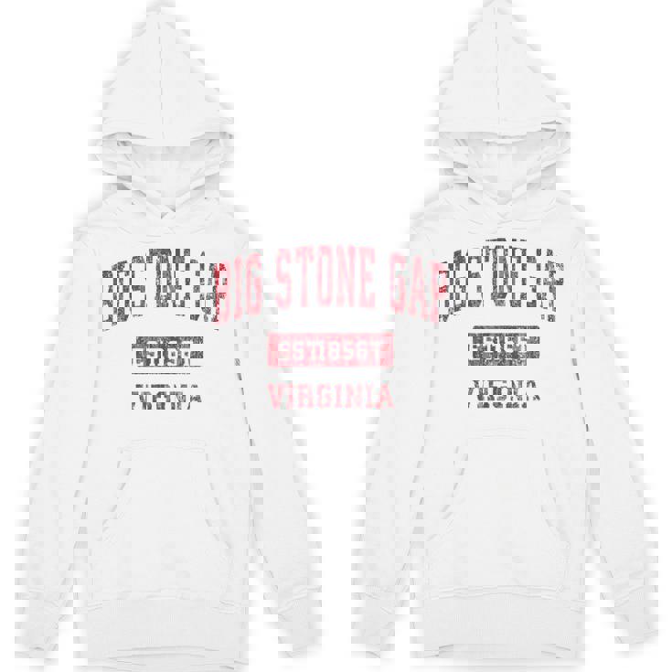 ビッグストーンギャップ バージニアバージニアva ヴィンテージスポーツデザイン レッドデザイン パーカー