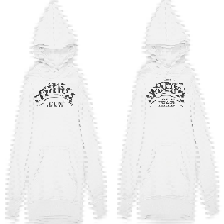 レイキャビク アイスランド レイキャビク アイスランド パーカー