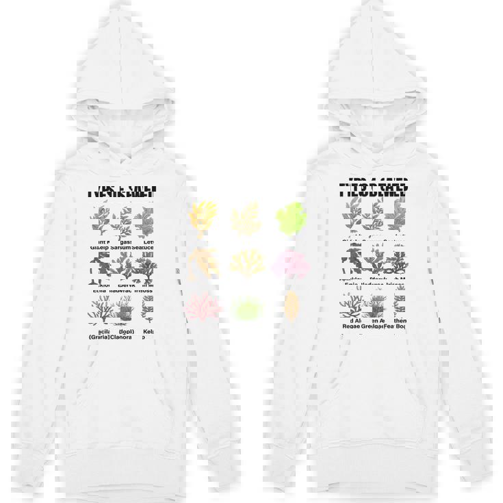 海藻の種類、海藻種チャート、海藻の種類 パーカー