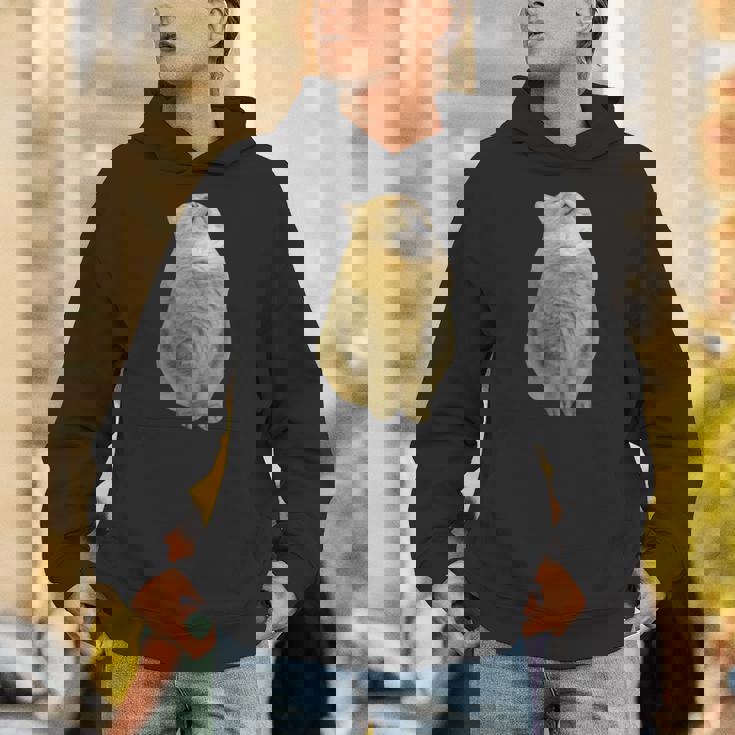 Meme Yellow Cat leep Internetiral パーカー