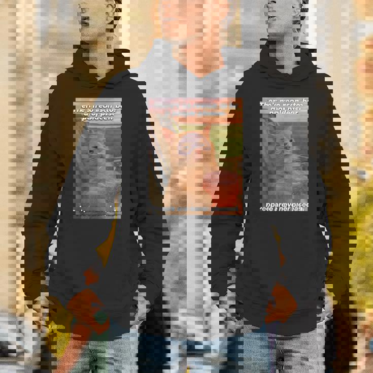 People Are Never Pleased Brainrot 猫ミーム 大学ユーモア パーカー