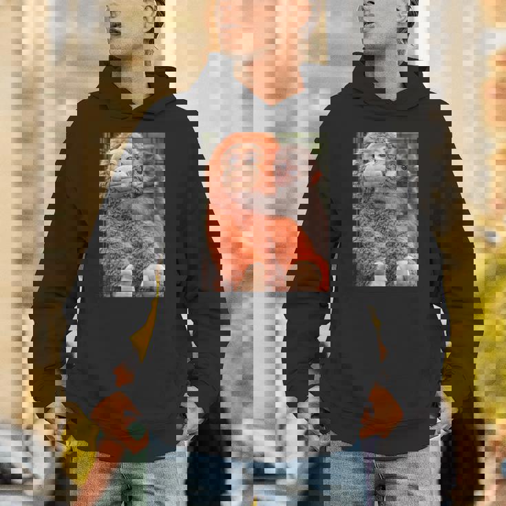 Punch The Monkey Meme X Ape Cute Punch Monkey Baby Meme パーカー