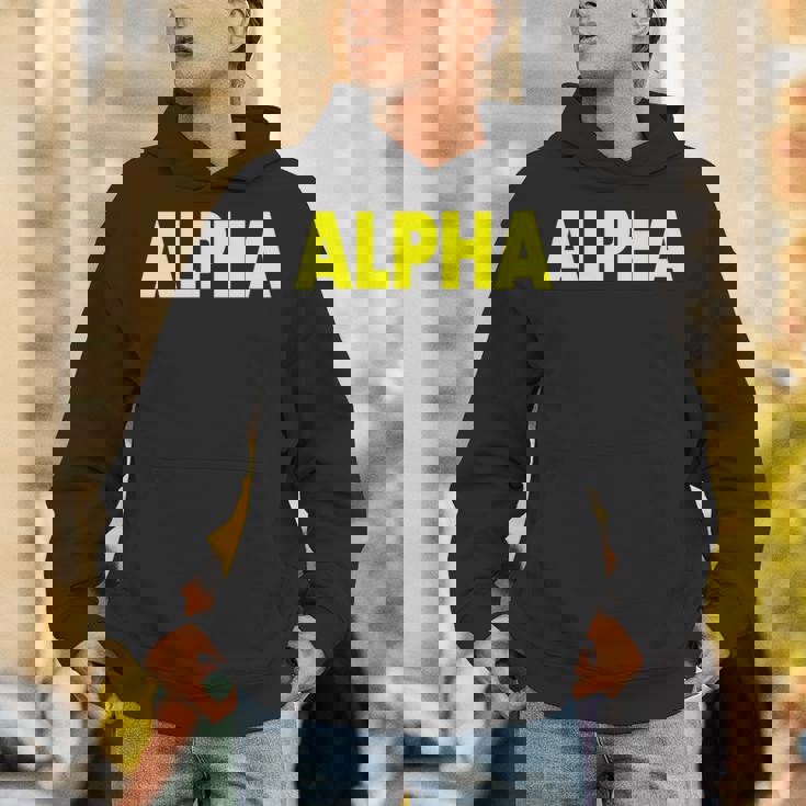 アルファ 長袖tシャツ パーカー