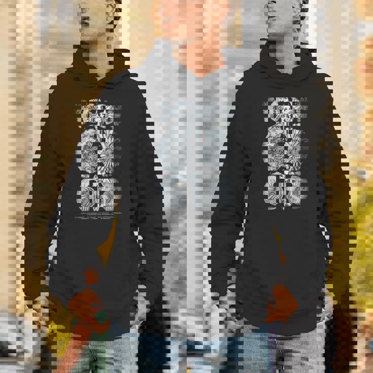 アンモナイト化石 地質学者 古生物学者研究 古生物学 パーカー