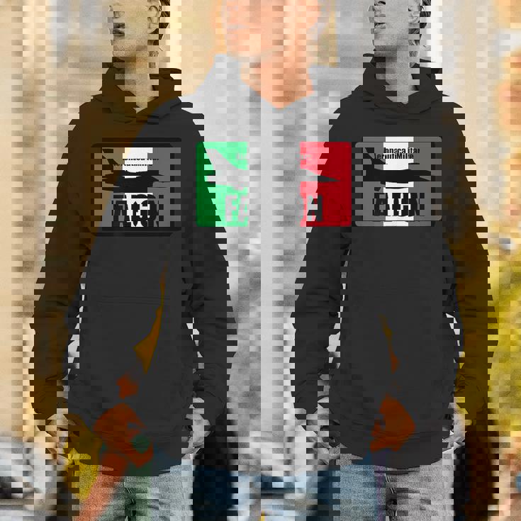 イタリアン F-16 ファルコンパッチ パーカー