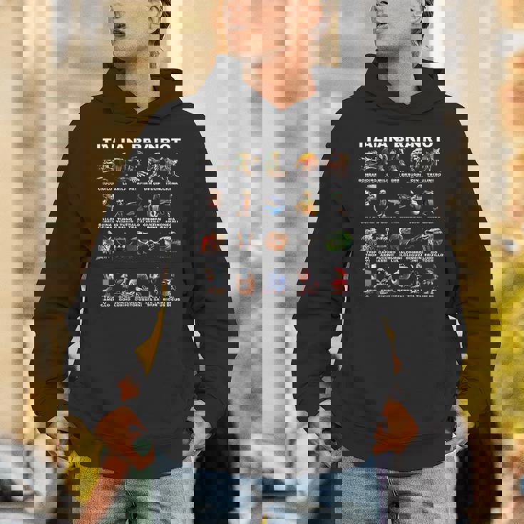 イタリアンブレインロット2面 パーカー