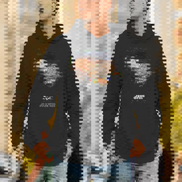 ジョン・エバレット・ミレーのオフィーリア・グランジ パーカー