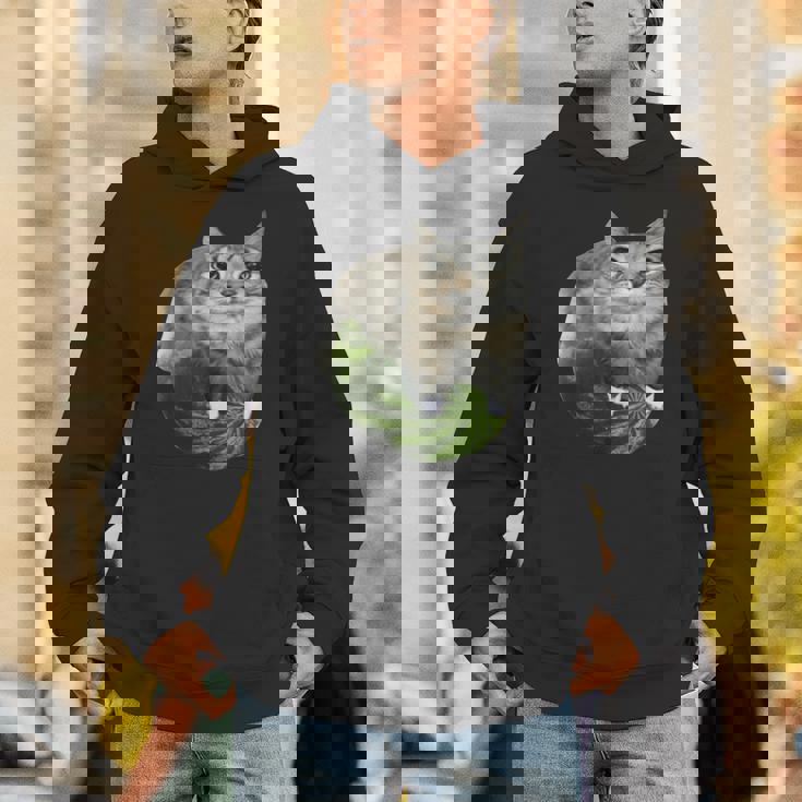 スイカ猫ミーム パーカー