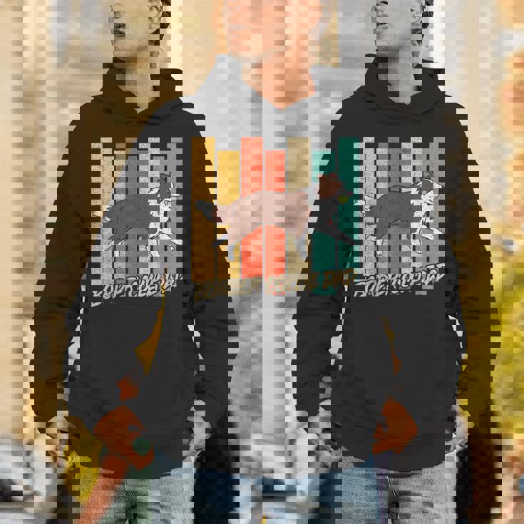 ビンテージ レッドボーダーコリー 犬 お父さん 犬 飼い主 父の日 パーカー