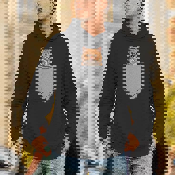 ファニーエキゾチックショートヘア猫 パーカー