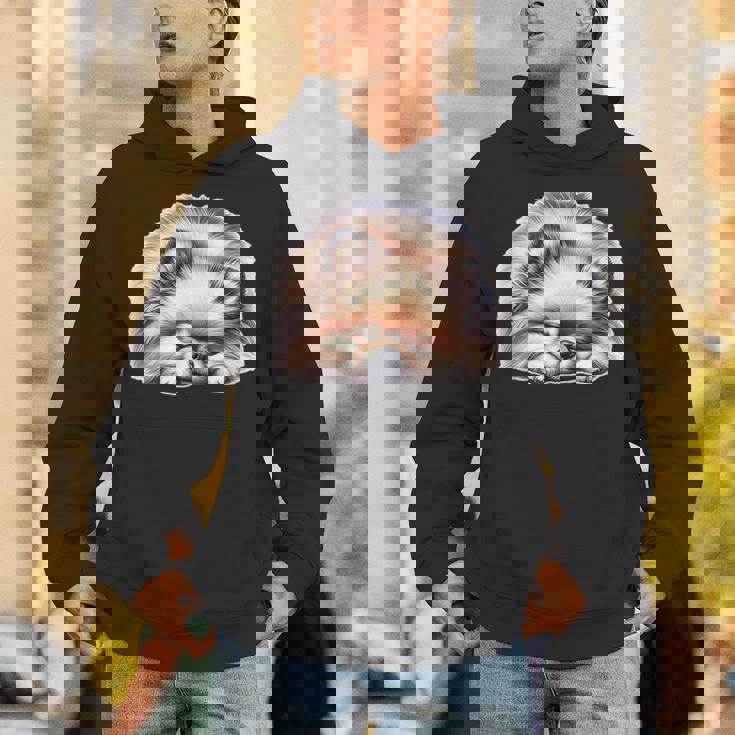 ポメラニアン × ポメラニアン 犬 寝ている パーカー