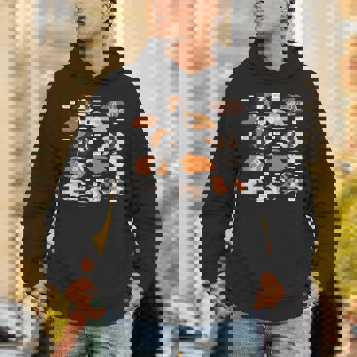 モルモット犬種シャツ パーカー