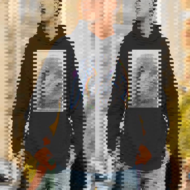 垂れ耳うさぎのレトロ写真 パーカー