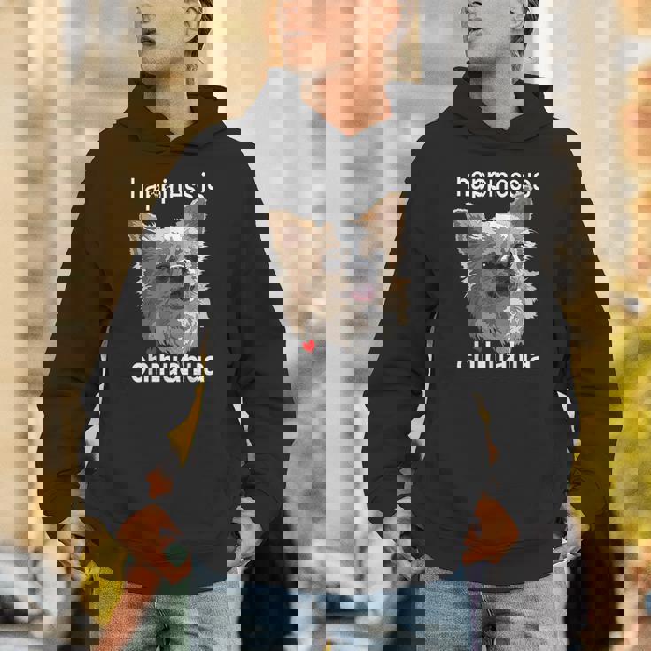 幸せはロングヘア チワワ 長髪 チワワ ママ パパ パーカー