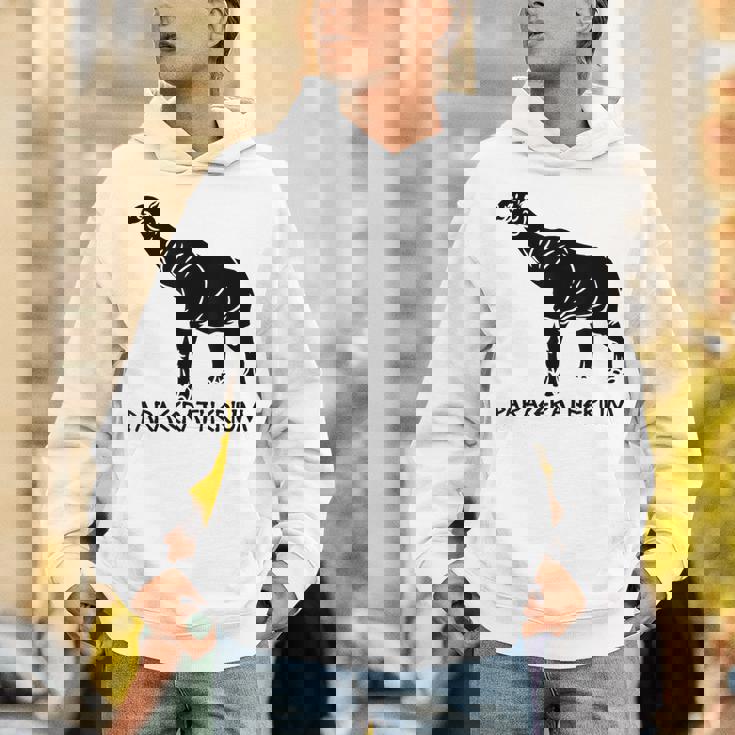 パラケラテリウム 絶滅動物 サイ 古生物学 パーカー