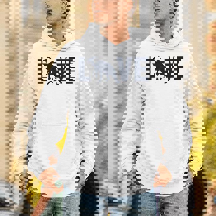 パラサウロロフス ラブ恐竜 ハドロサウルダエ パラサウロロフス パーカー