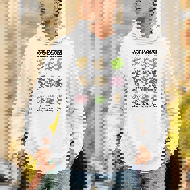 海藻の種類、海藻種チャート、海藻の種類 パーカー