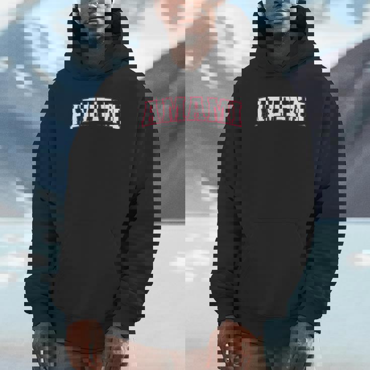 Amami Japan Nihon 日本 奄美 Amami パーカー