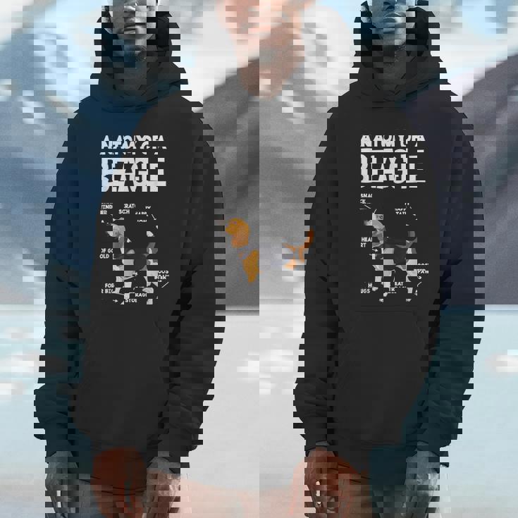 Anatomy Of A Beagle ファニービーグル パーカー