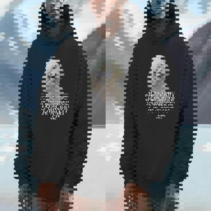 マルチーズ犬愛好家 子犬オーナー 真の愛 引用句デザイン パーカー