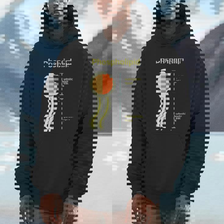 リン脂質 パーカー