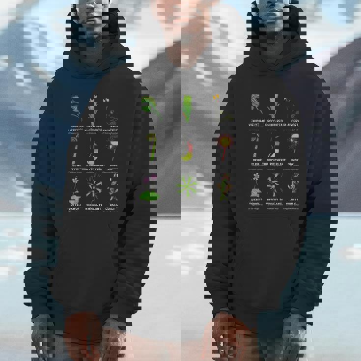 食虫植物 チャートハエトリグサ、食虫植物 パーカー