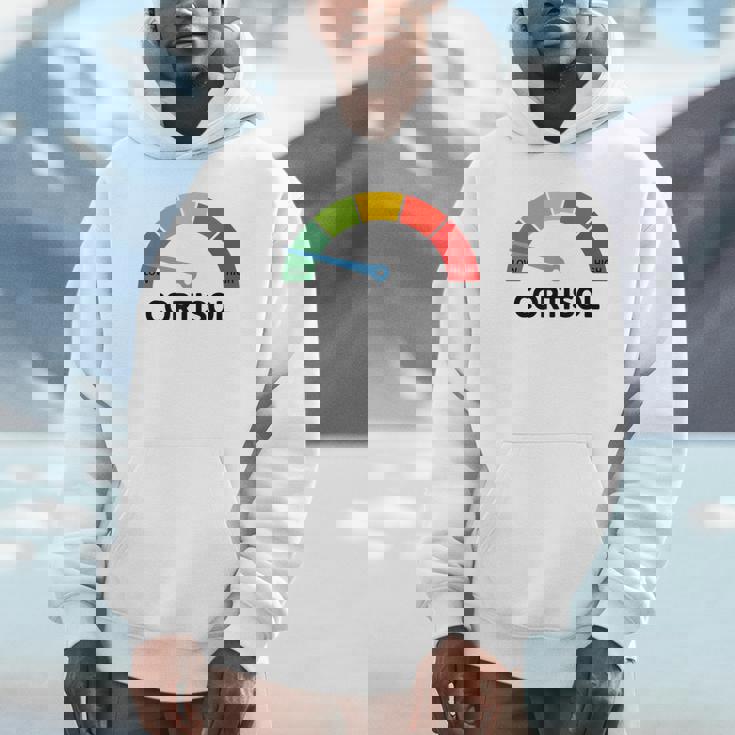 Low Cotisol Maxxing おもしろミーム ソーシャルメディア 自己改善 パーカー