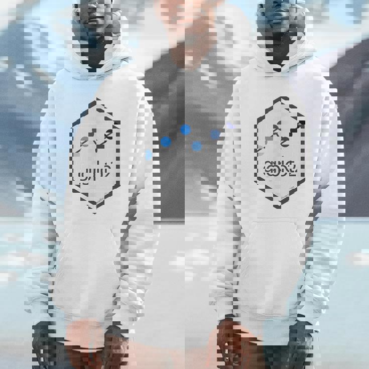 R Programming Ggplot2 六角tシャツ Rstudio Tidyverse Rstats パーカー