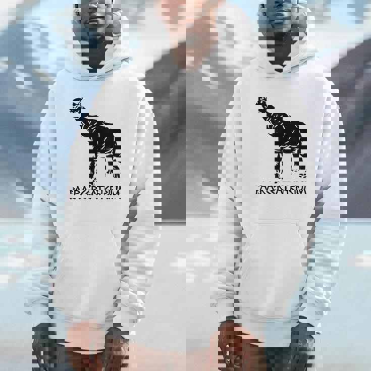 パラケラテリウム 絶滅動物 サイ 古生物学 パーカー