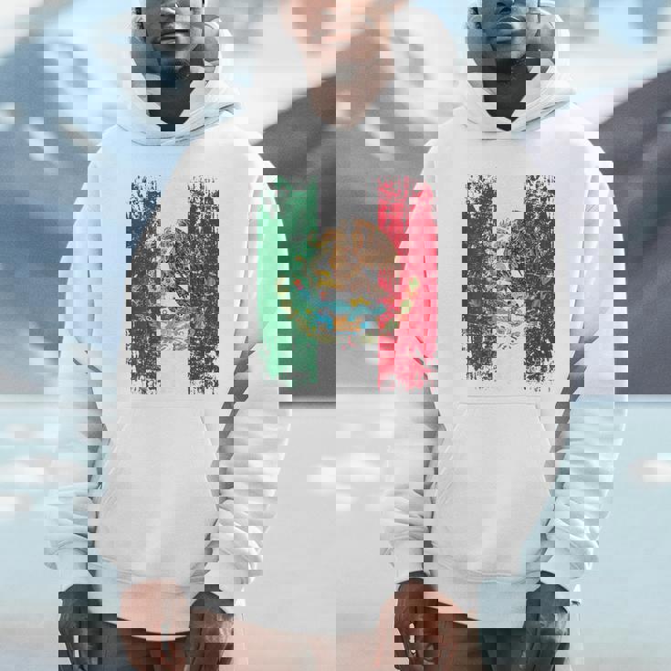 メキシコ 旗 大 国旗 メンズ レディース キッズ メキシコ パーカー